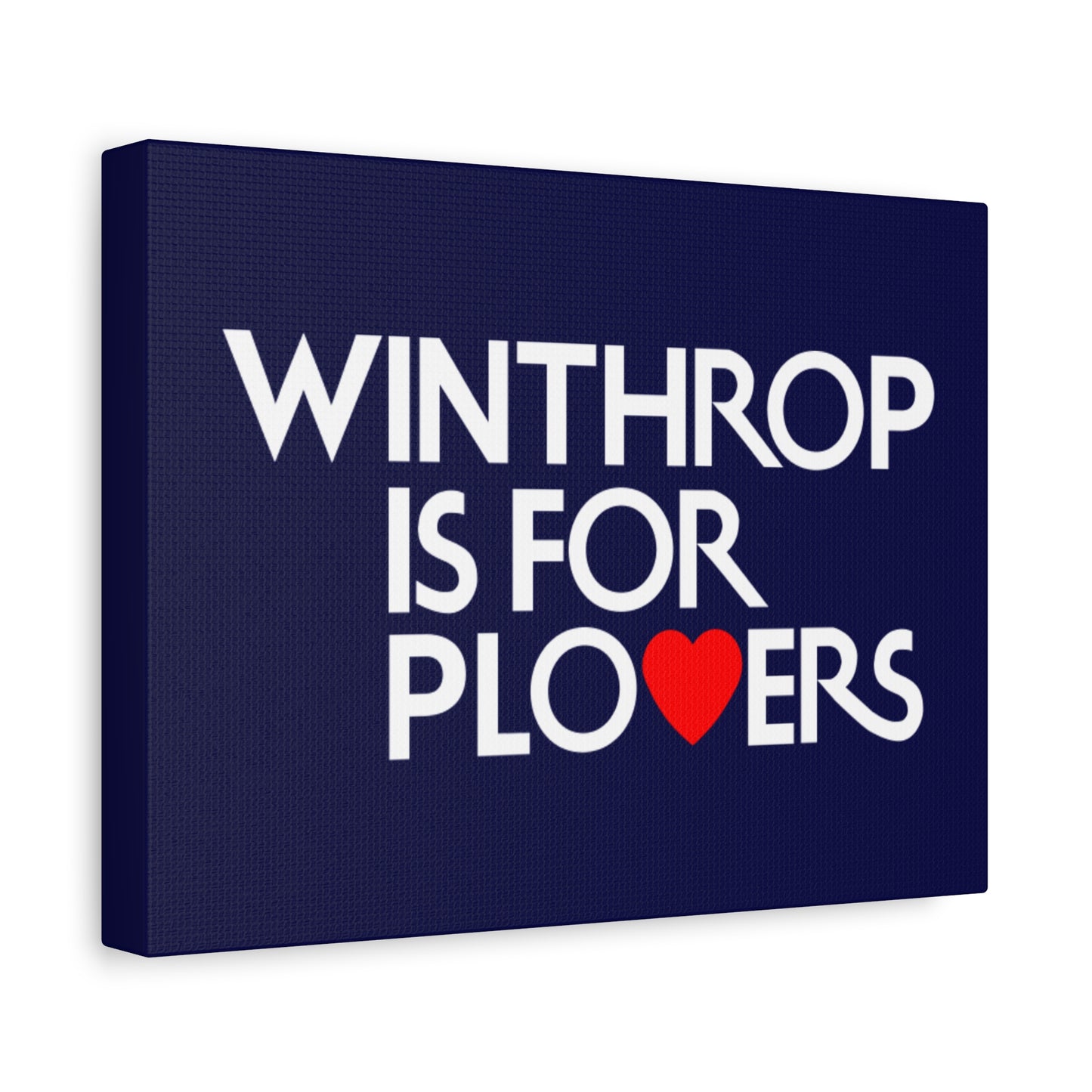 Winthrop is for Plovers - Winthrop, MA - Canvas Print