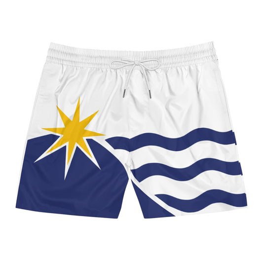 Massachusetts State Flag - Blue Hill Banner - Swim Shorts