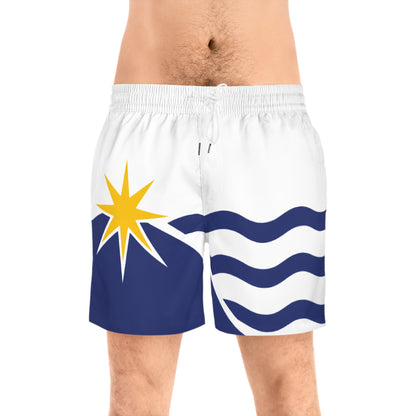 Massachusetts State Flag - Blue Hill Banner - Swim Shorts